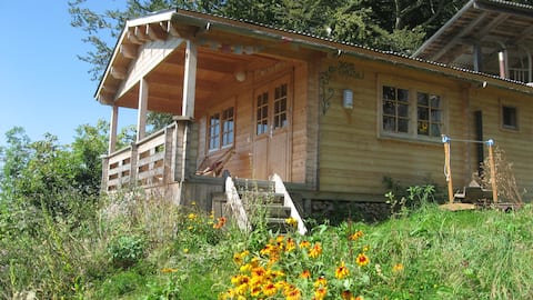 Time out in the wild