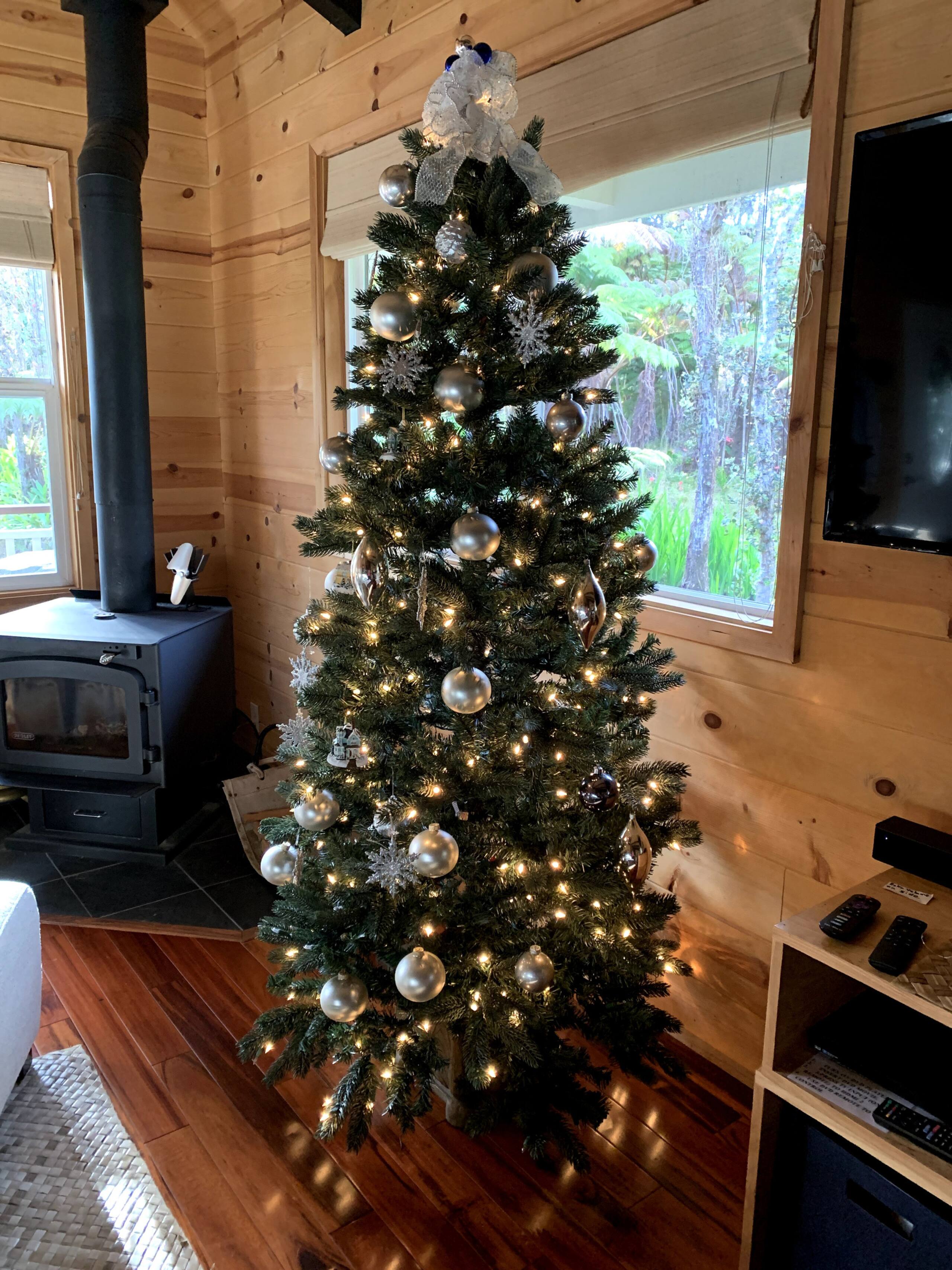Home in Pahoa · ★4.94 · 2 bedrooms · 3 beds · 1 bath - Image 4