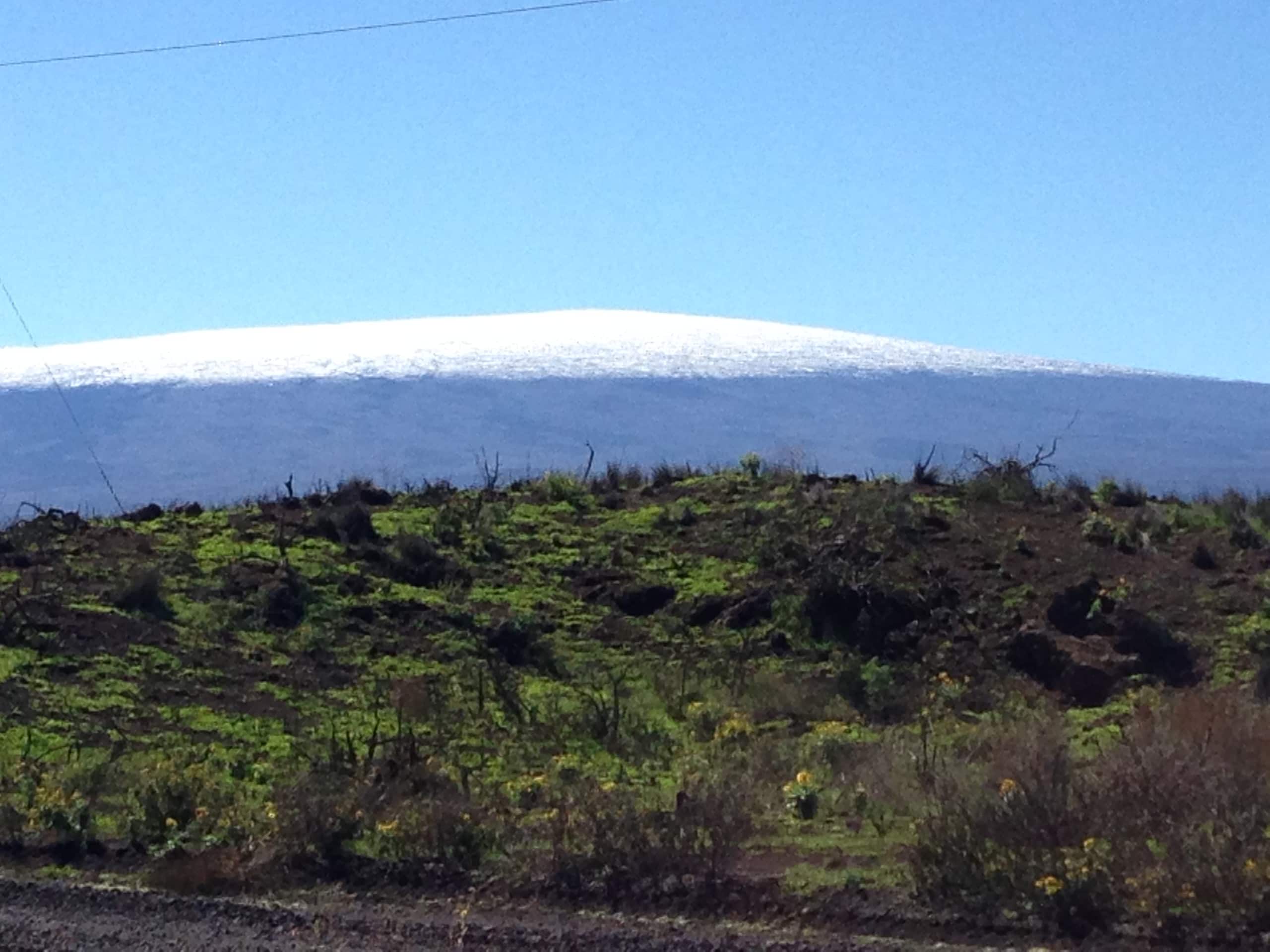 Home in Pahoa · ★4.94 · 2 bedrooms · 3 beds · 1 bath - Image 13