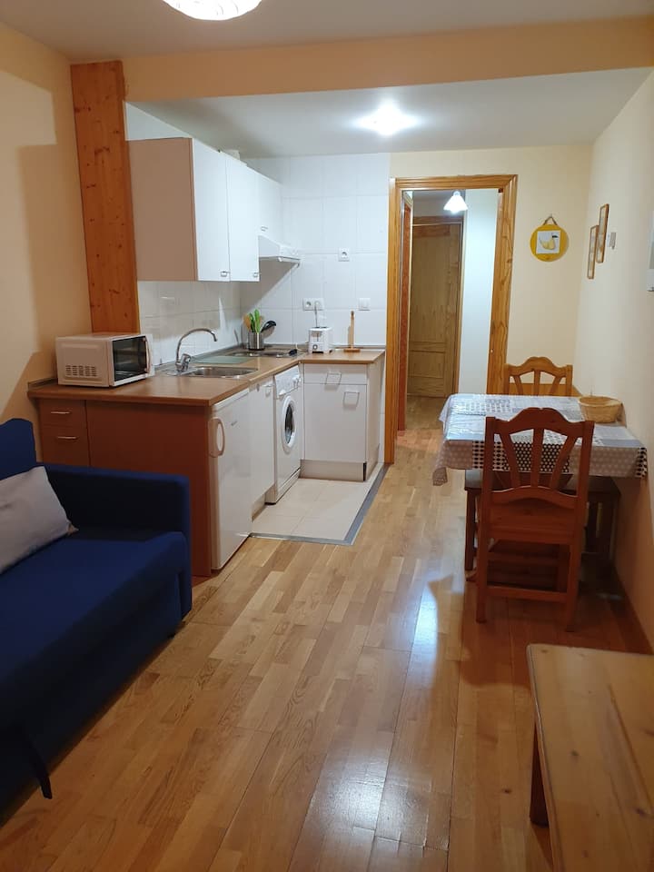 Apartment overlooking the slopes Apartments for Rent in Formigal