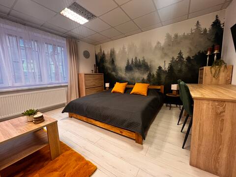 Apartman - centre free parking
