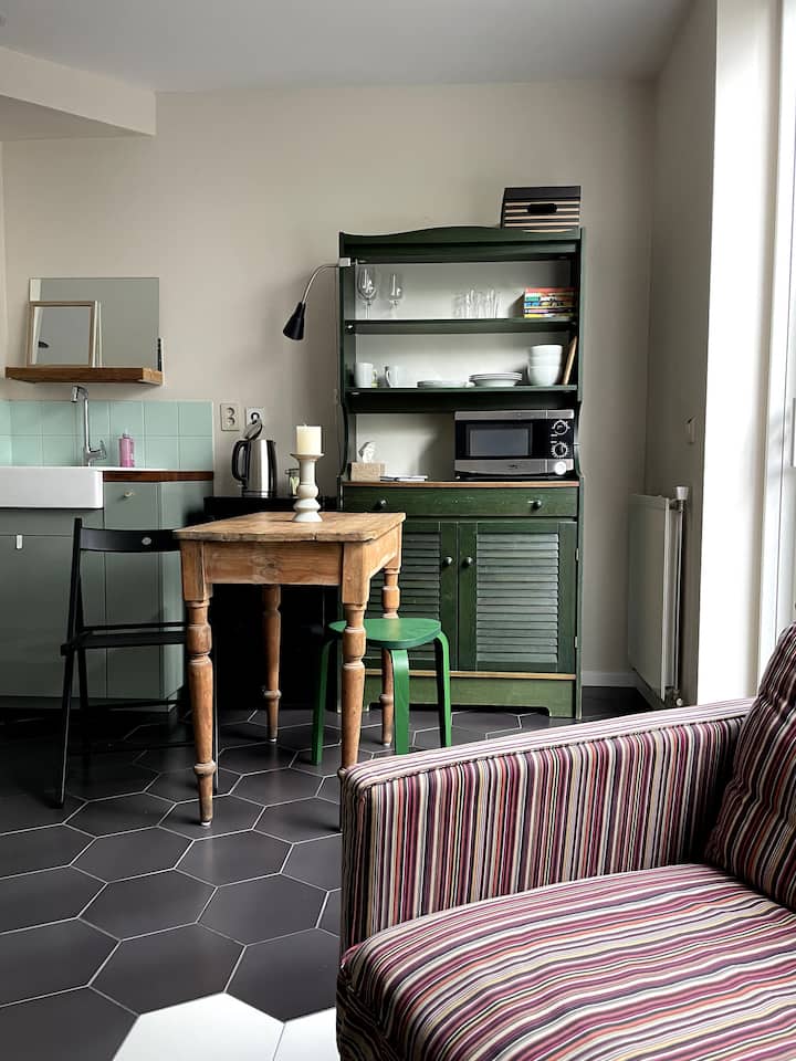 Studio Mit Garten Im Zentrum - South Holland