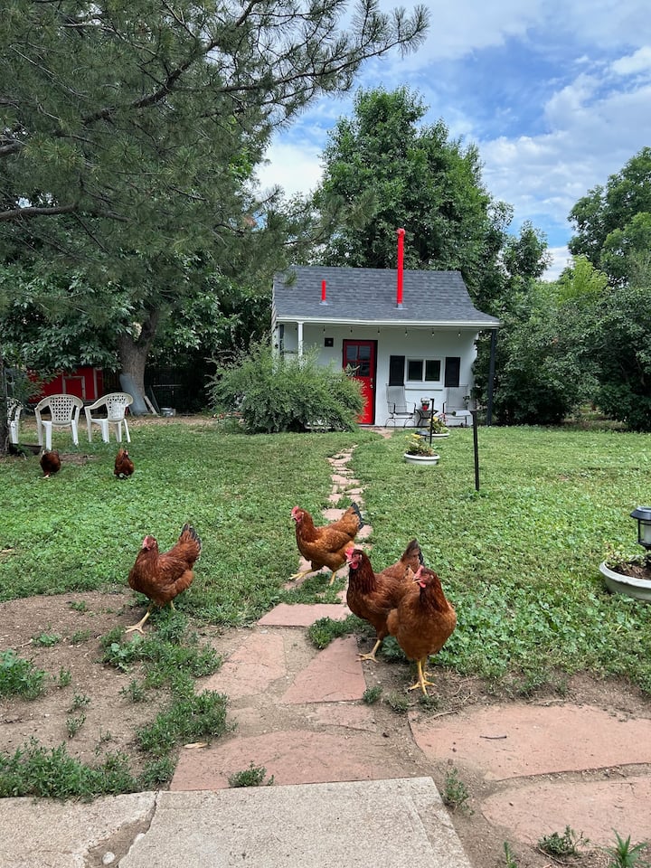 Tiny Cottage & Farm - "Fresh Eggs & Honey Bees"