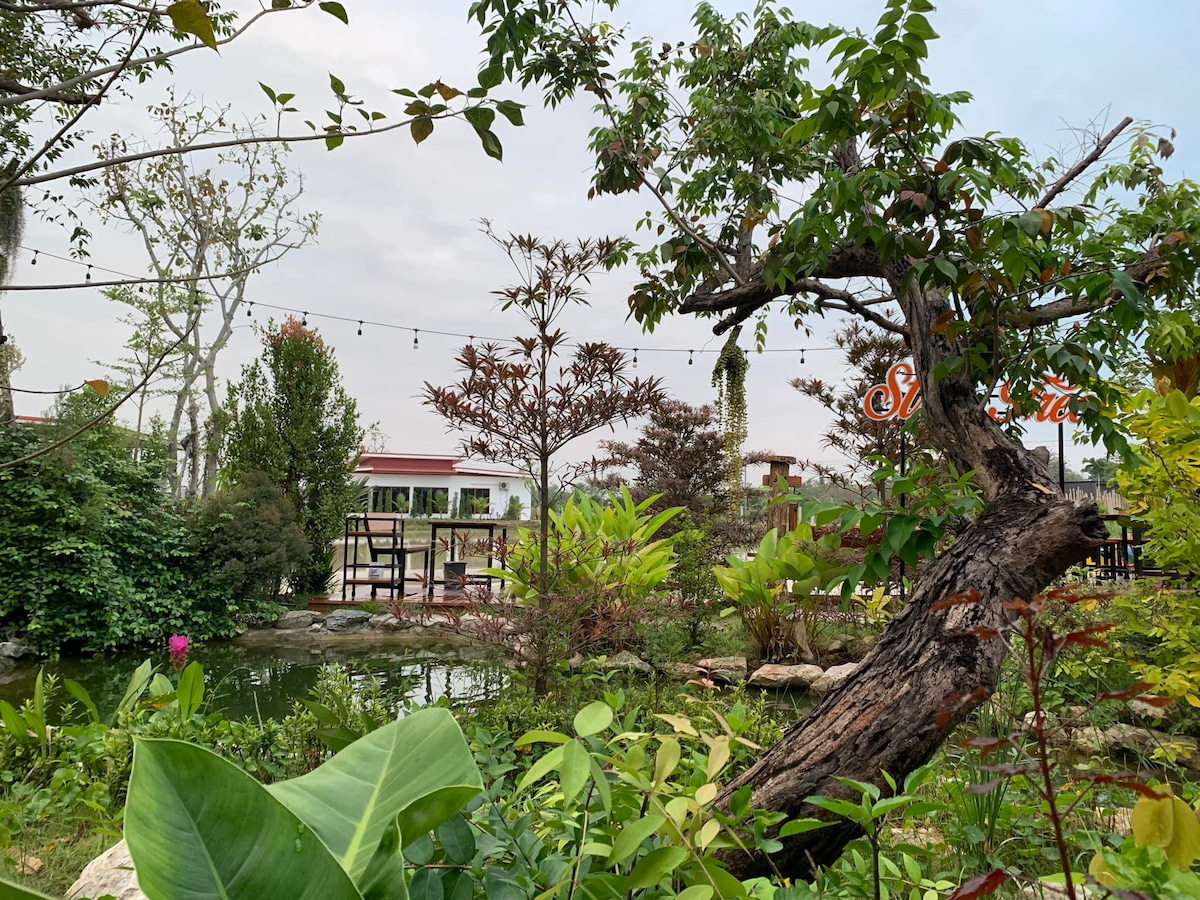 A lush garden scene is displayed, featuring a variety of green plants and trees surrounding a small pond. Soft lighting from hanging bulbs adds to the serene atmosphere. In the background, a structure can be seen, blending harmoniously with the natural setting.