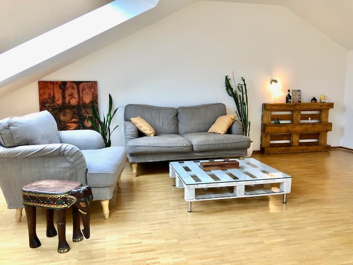 Cozy Apartment In Zürich City - Zürich
