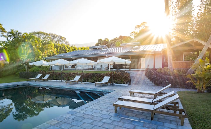 Entire Estate w/ Lap Pool Ocean View AC in DT Kona