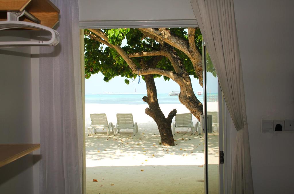 A view from the room shows a sandy beach through a doorway framed by sheer curtains. Beach loungers are arranged beneath a leafy tree, with gentle waves visible in the distance. The tranquil scene suggests a peaceful retreat.