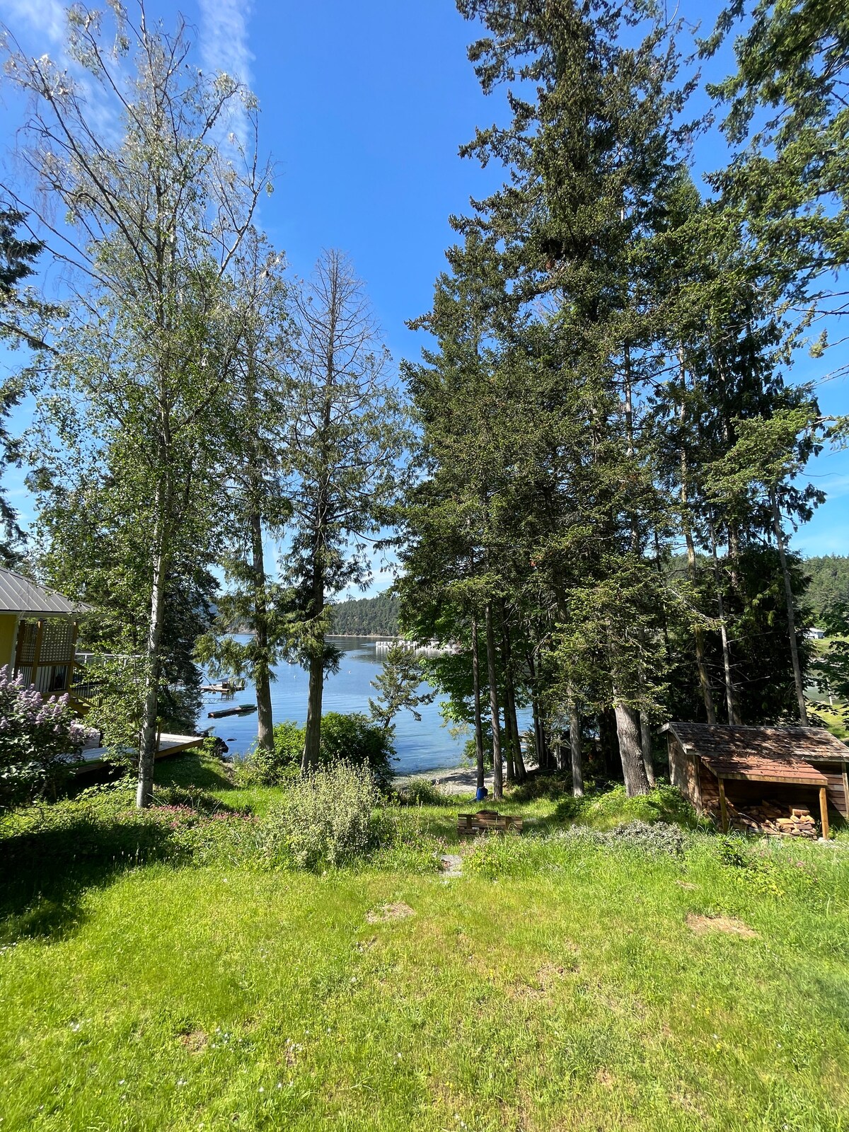 A lush green yard features tall trees surrounding a calm waterway, providing a serene backdrop. The blue sky shines above, reflecting the tranquil environment. The space is ideal for activities by the water, with clear views of the nearby shoreline.