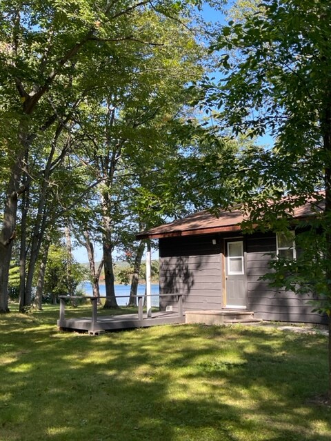 A serene cabin is surrounded by lush greenery and tall trees, with the peaceful waters of Killarney Bay visible in the background. A wooden deck is positioned in front, inviting outdoor gatherings in this tranquil setting.