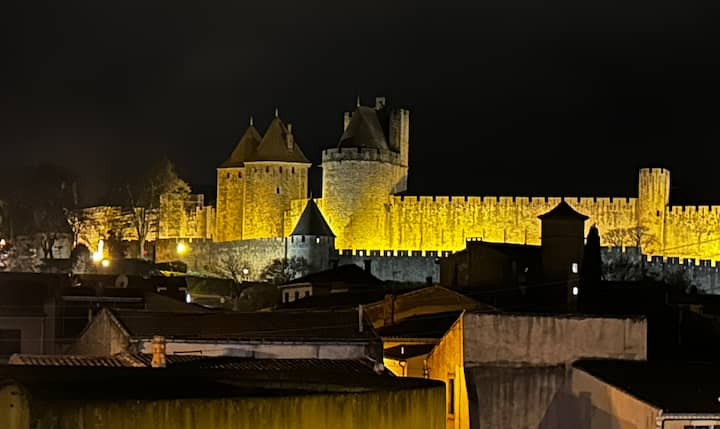 Entire House / Apartment Carcassonne Center, Terrace Not