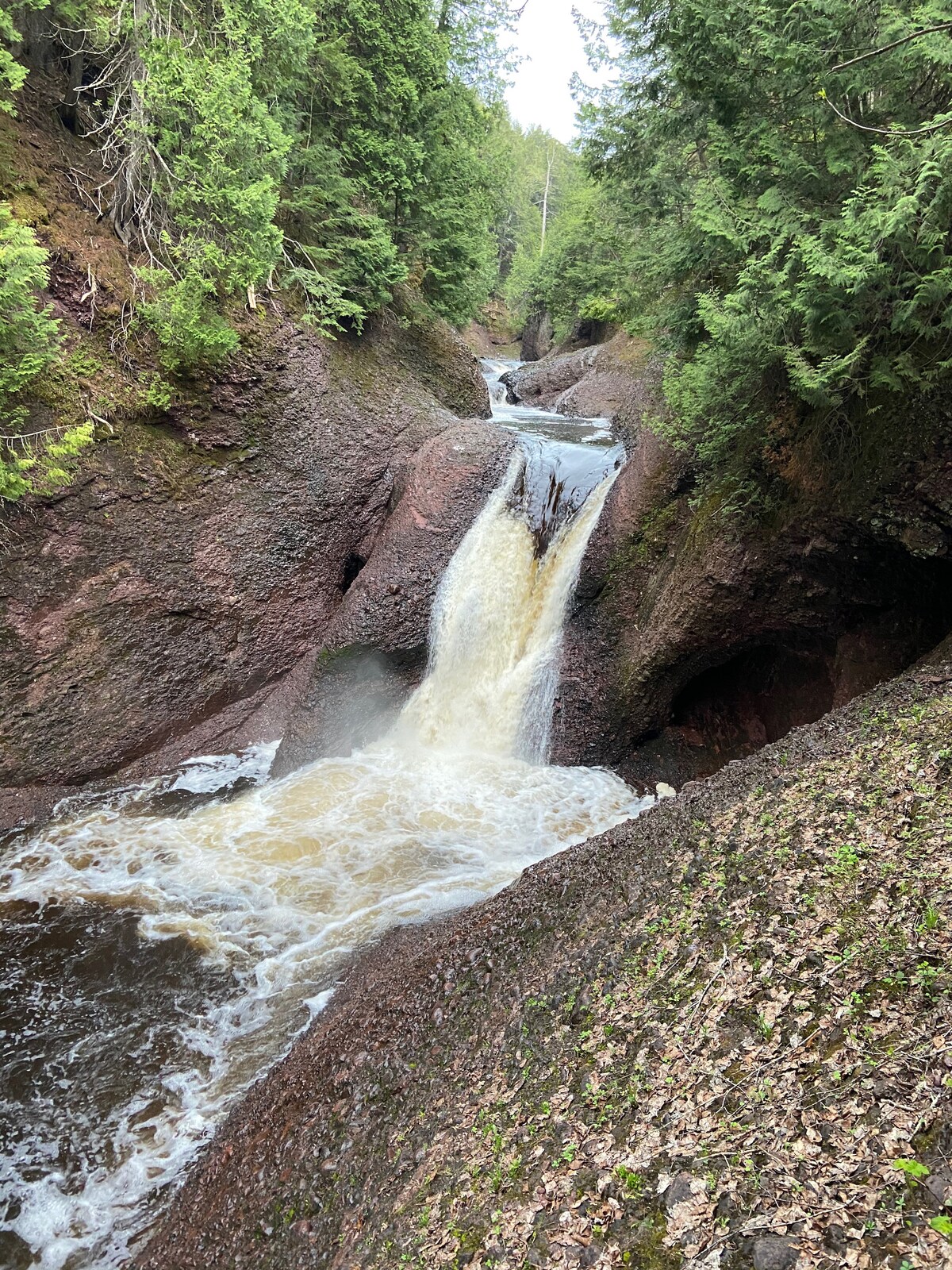 A gentle waterfall cascades down a rocky ravine, surrounded by lush green foliage. The flowing water creates a contrast against the earth-toned rocks, while the sound of the rushing water adds a serene ambiance to the natural setting.