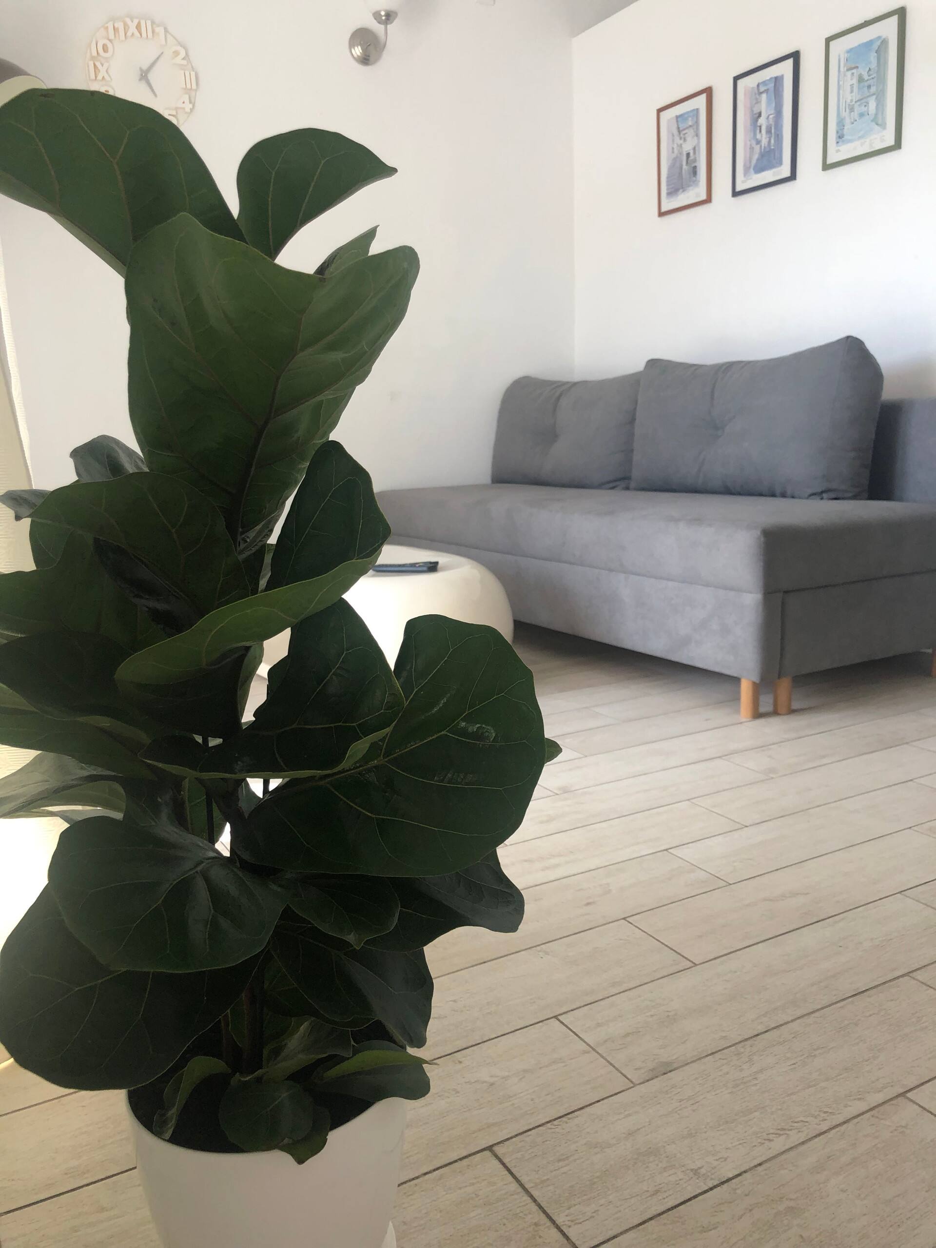 Apartment Bocca — photo 3