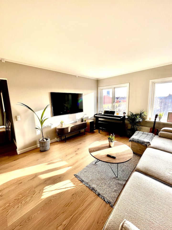 Recently renovated penthouse apartment Condominiums for Rent in