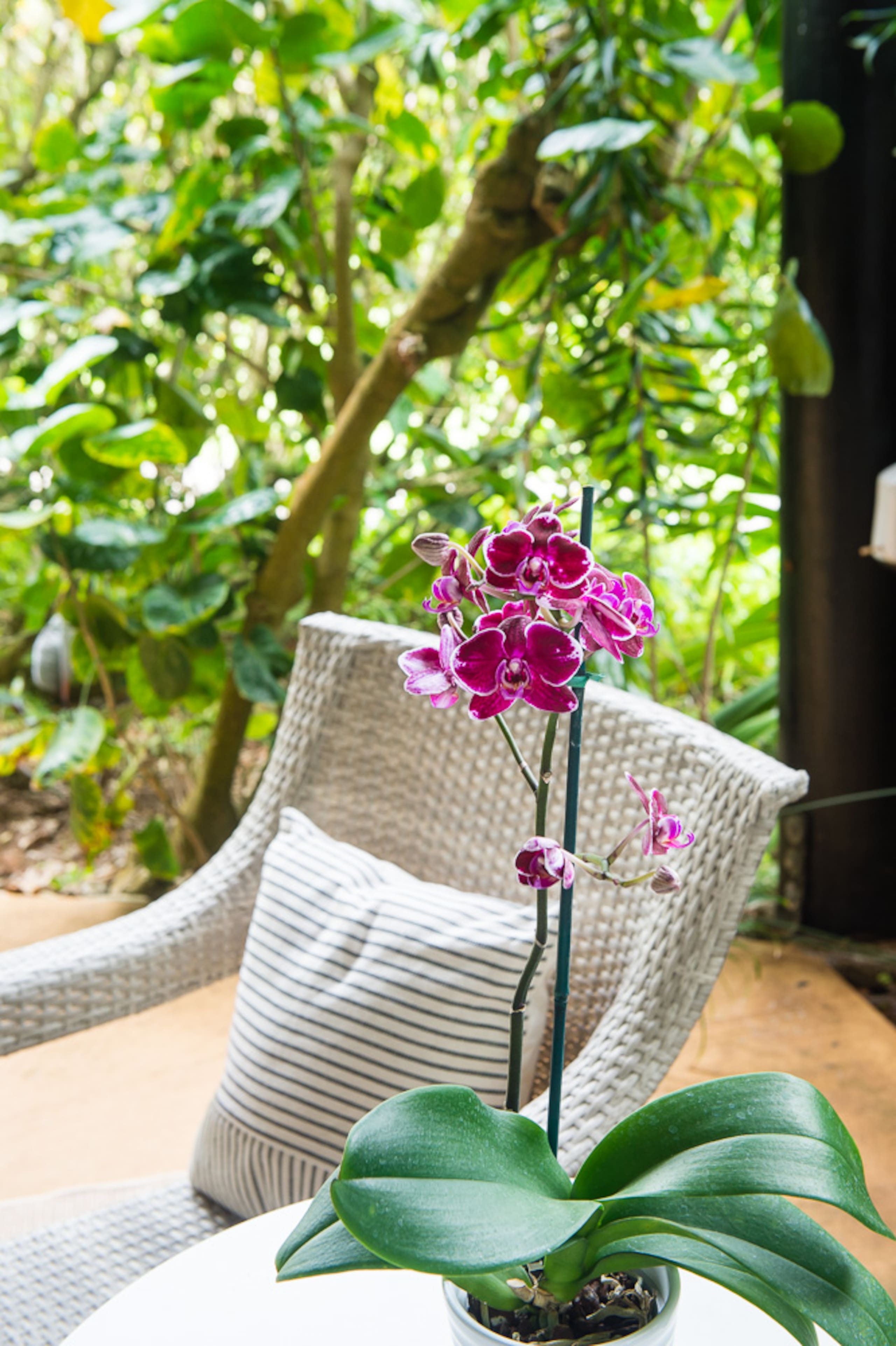 Two king bed suites close to Hanalei Bay and shops - Photo 18