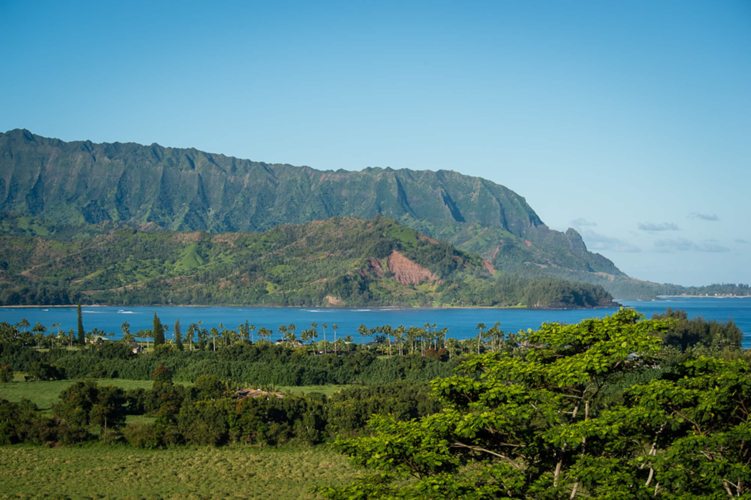 Two king bed suites close to Hanalei Bay and shops - Photo 24