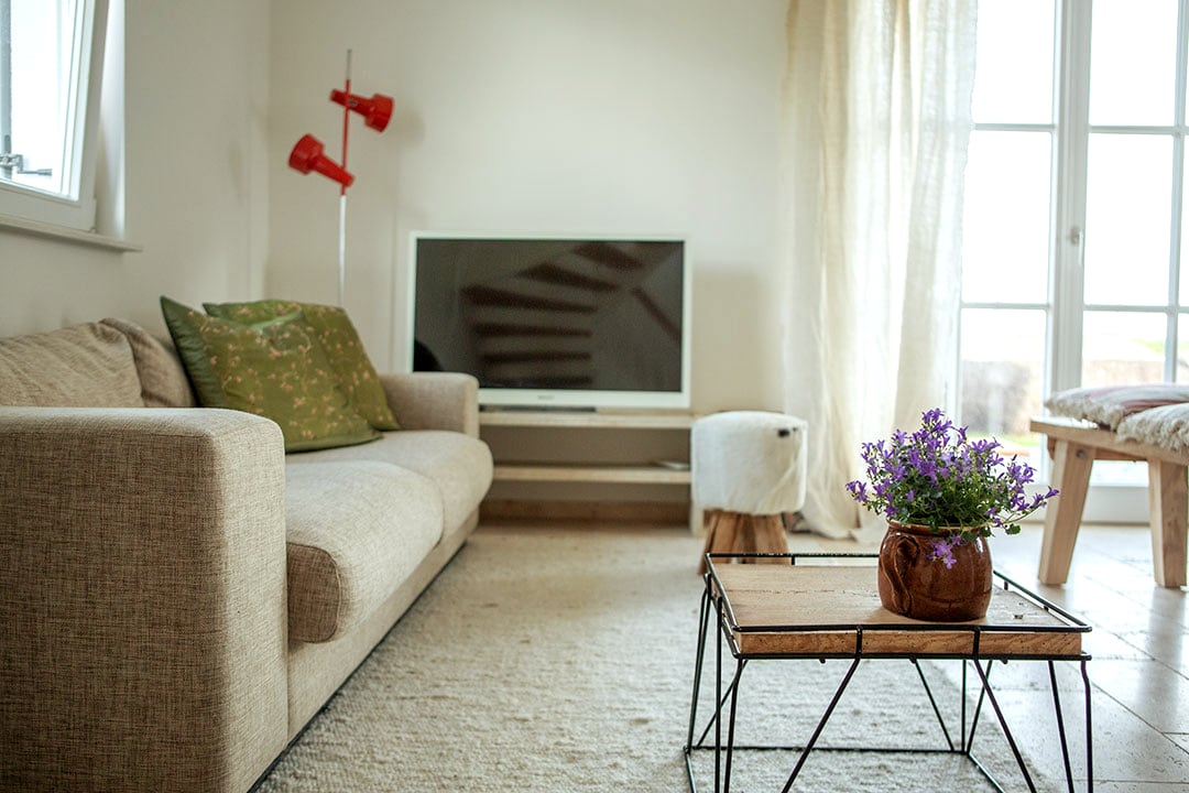 Popular Airbnb listing: Hornhecht vacation home in Zierow in Zierow