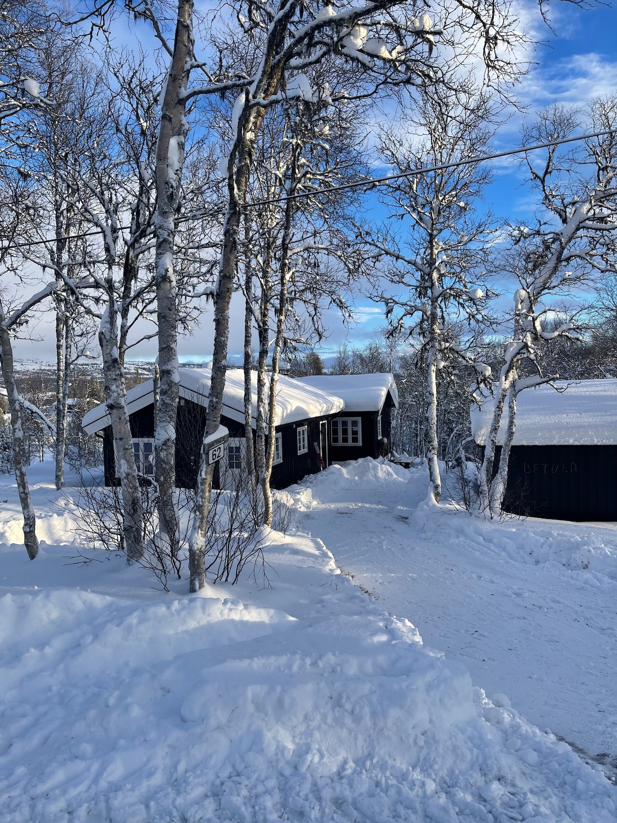 A newly renovated cabin is nestled among snow-covered trees, showcasing dark exterior walls against the bright winter landscape. Snow blankets the ground, and a clear blue sky peeks through the branches, creating a serene atmosphere.