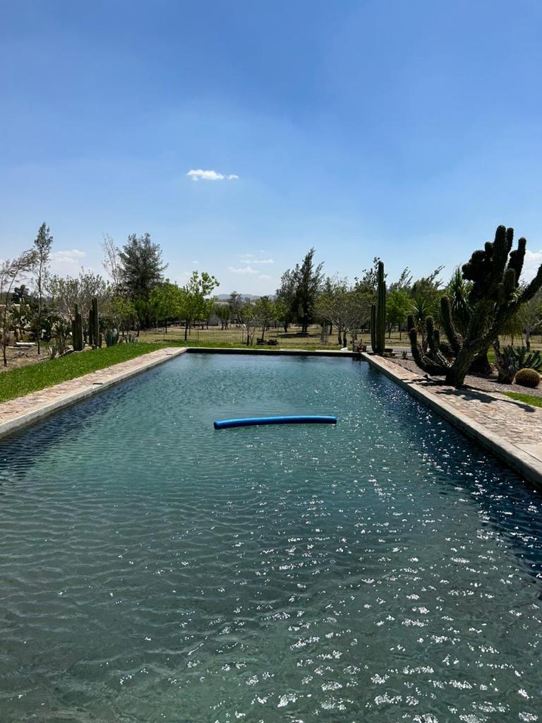 A serene swimming pool is surrounded by lush greenery and desert plants. The clear water reflects the blue sky, and a float is gently placed in the center. The area is punctuated by various trees, adding to the natural atmosphere.