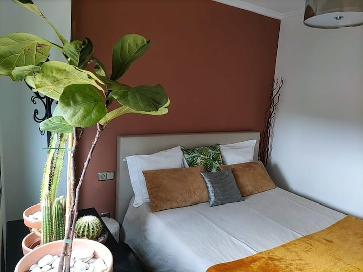Cama Kingsize