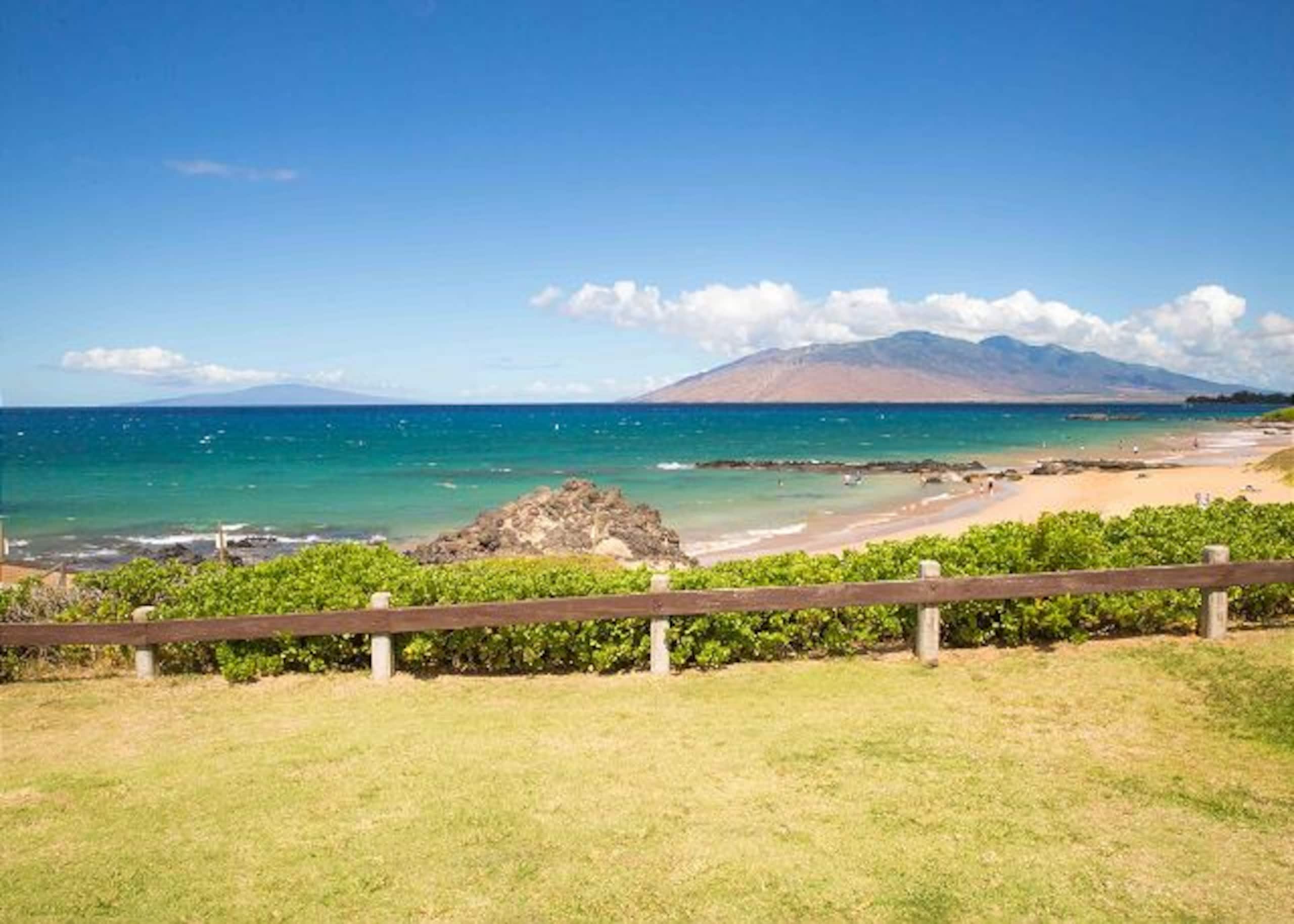 Condo in Kihei · ★5.0 · 1 bedroom · 1 bed · 1 private bath - Image 42