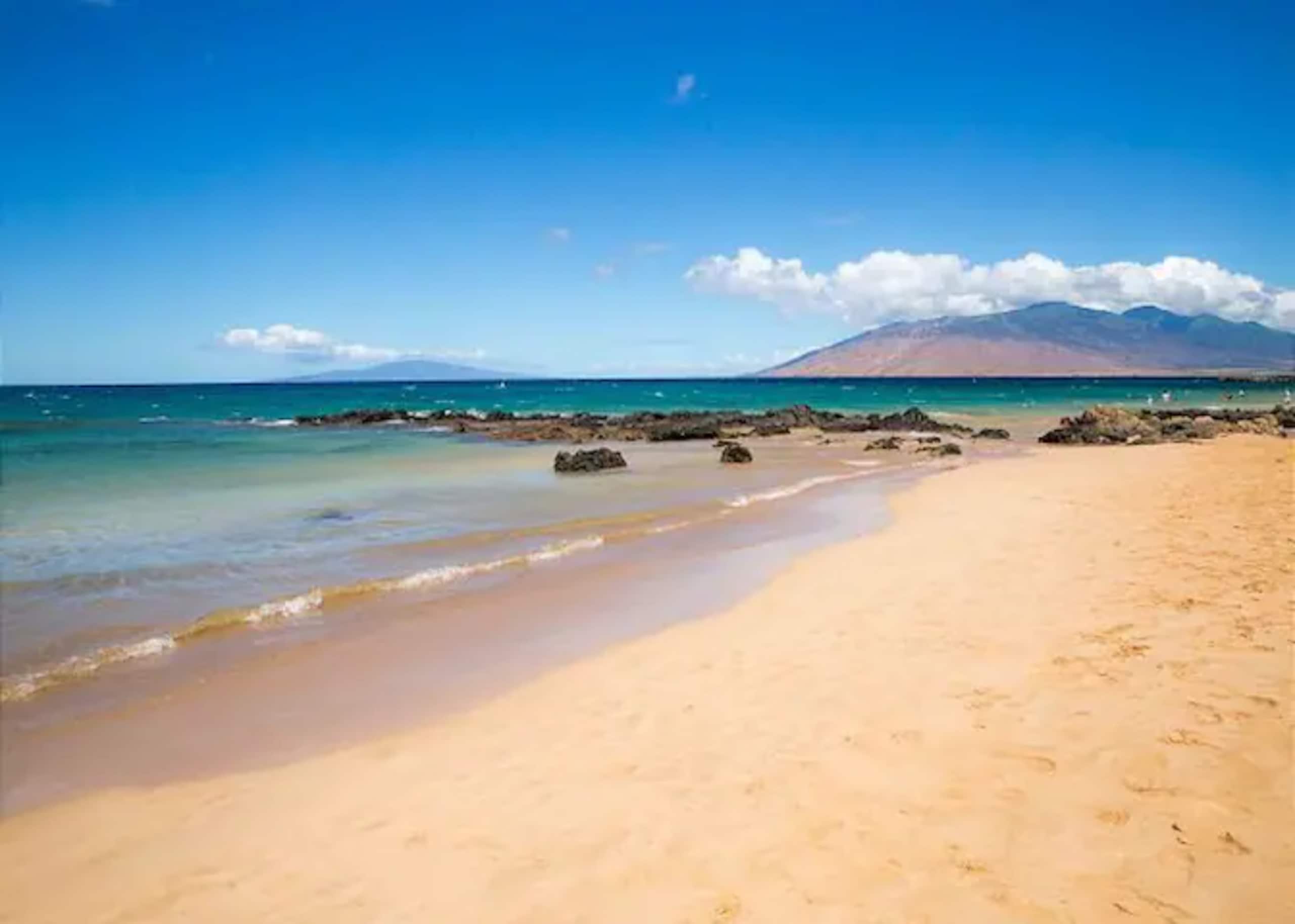 Condo in Kihei · ★5.0 · 1 bedroom · 1 bed · 1 private bath - Image 43