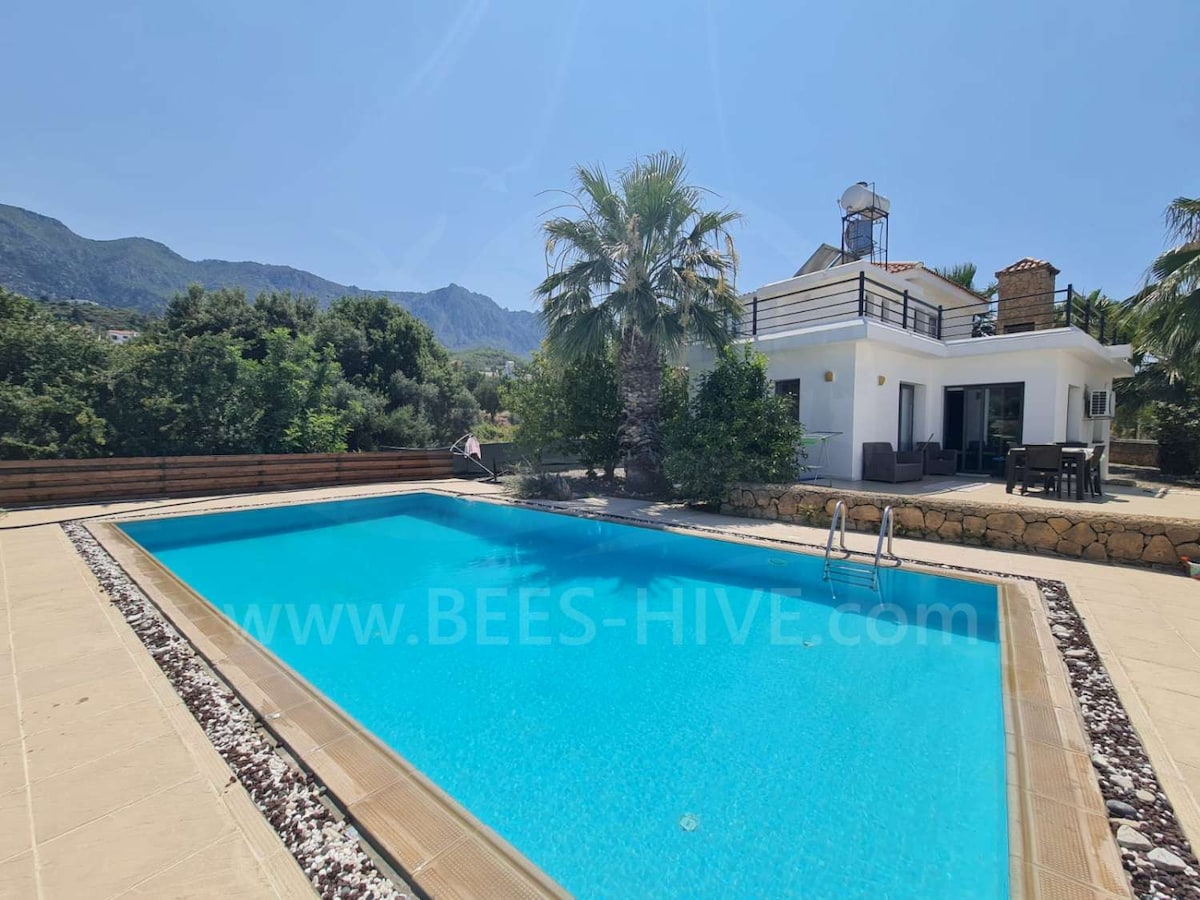 A private pool is surrounded by a spacious deck, featuring palm trees and shrubbery. The villa's exterior stands in the background, showcasing large windows and a balcony, with rugged mountains visible in the distance under a clear blue sky.