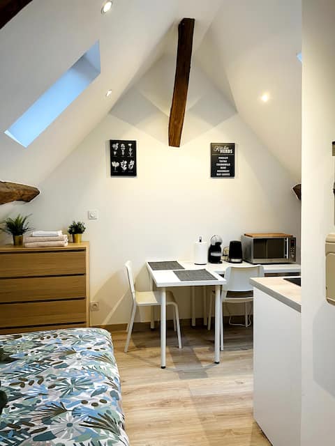 Top performing Airbnb: T1 Dijon Wilson in Faubourg Sud