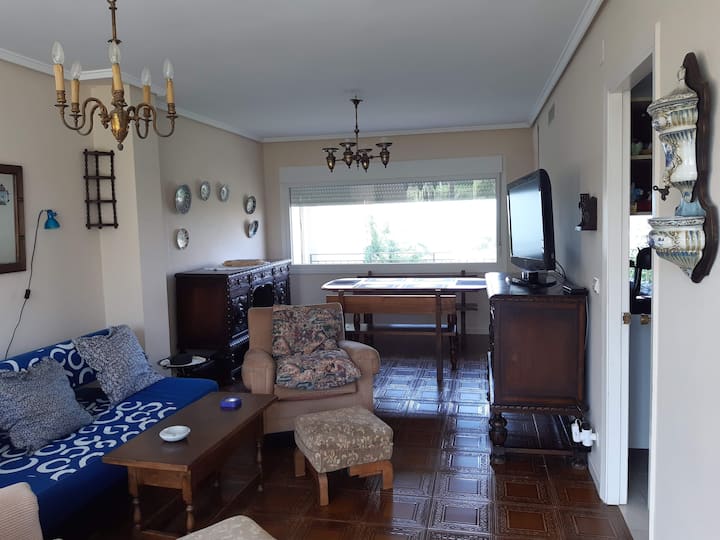 Salón (1). Ventanal parte trasera