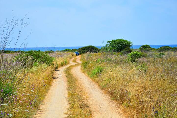 Mirto House 1316 gallery image 2