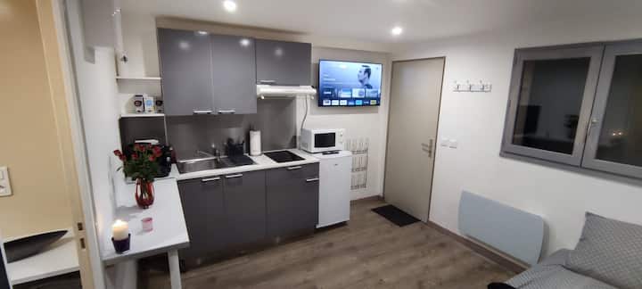 Studio (Non Fumeur) Avec Jardin Et Parking. - Ozoir-la-Ferrière