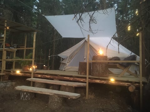 Successful Airbnb property: Forest Bath Glamping in Ljungby