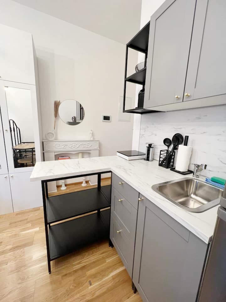 Studio Near Ip Pavlova :Id(76) - Praag
