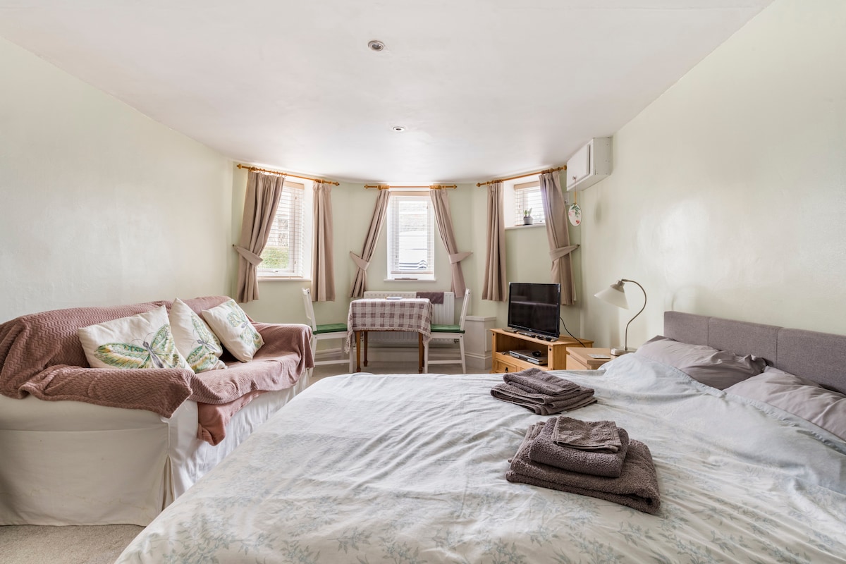 A spacious studio flat is depicted, featuring a comfortable bed with a light-colored blanket. A cozy seating area includes a sofa and a small table. Natural light enters through three windows, complemented by decorative curtains. A television is positioned for entertainment.