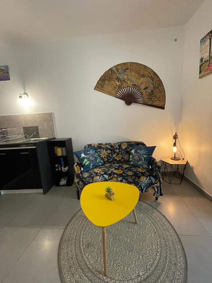 Appartement Au Pied Des Arènes - Place du Forum