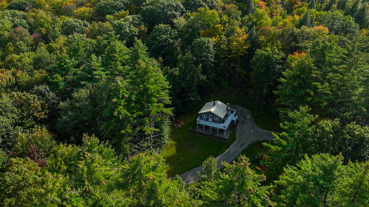 An aerial view showcases a secluded two-story home nestled among lush green trees. The surrounding foliage displays hints of autumn colors, creating a serene and natural environment. A winding driveway leads up to the entrance, emphasizing the property's private setting.