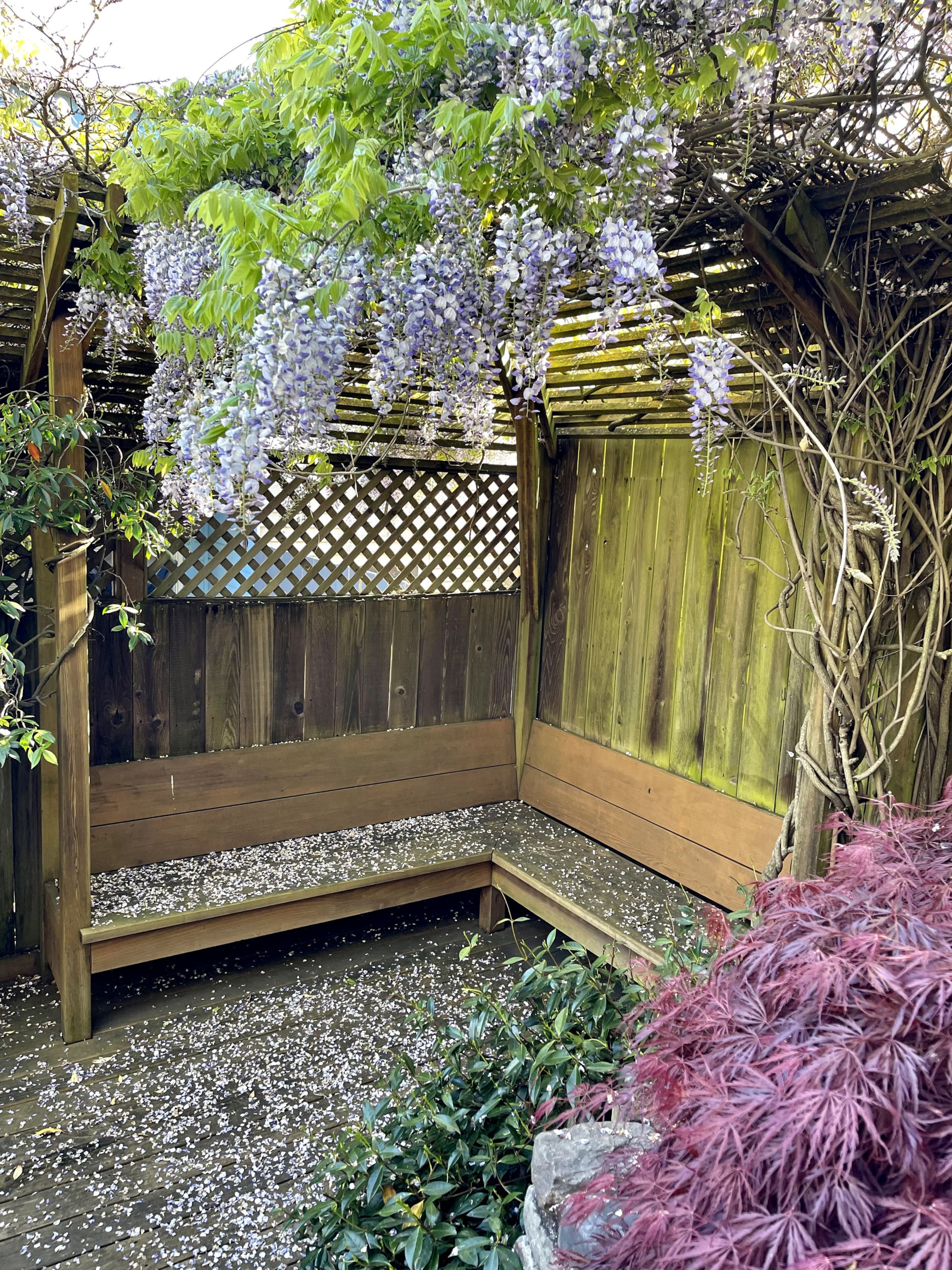 Hilltop studio w/t panoramic view, garden, parking - Image 17