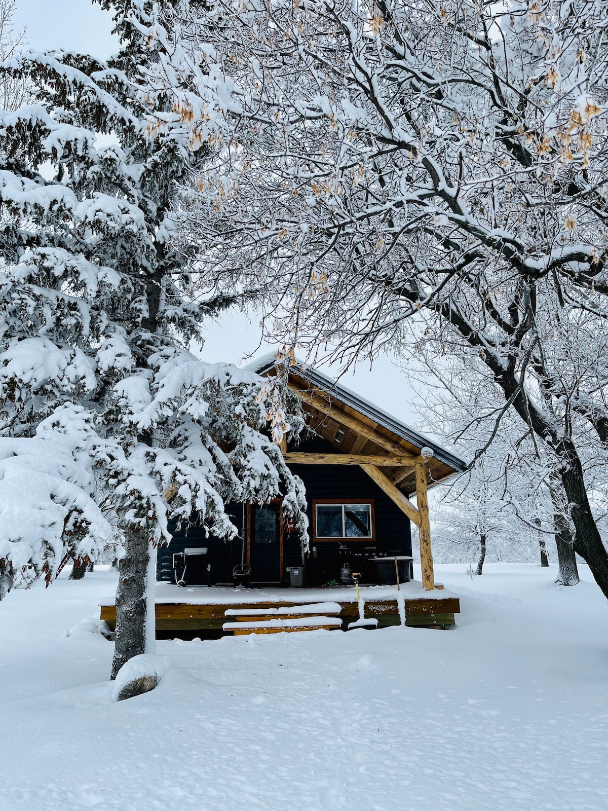 A charming cabin stands surrounded by a winter landscape, blanketed in fresh snow. Snow-laden trees frame the scene, highlighting the cabin's porch, which features a bench. Soft, muted colors of the cabin contrast with the bright white snow, creating a serene atmosphere.
