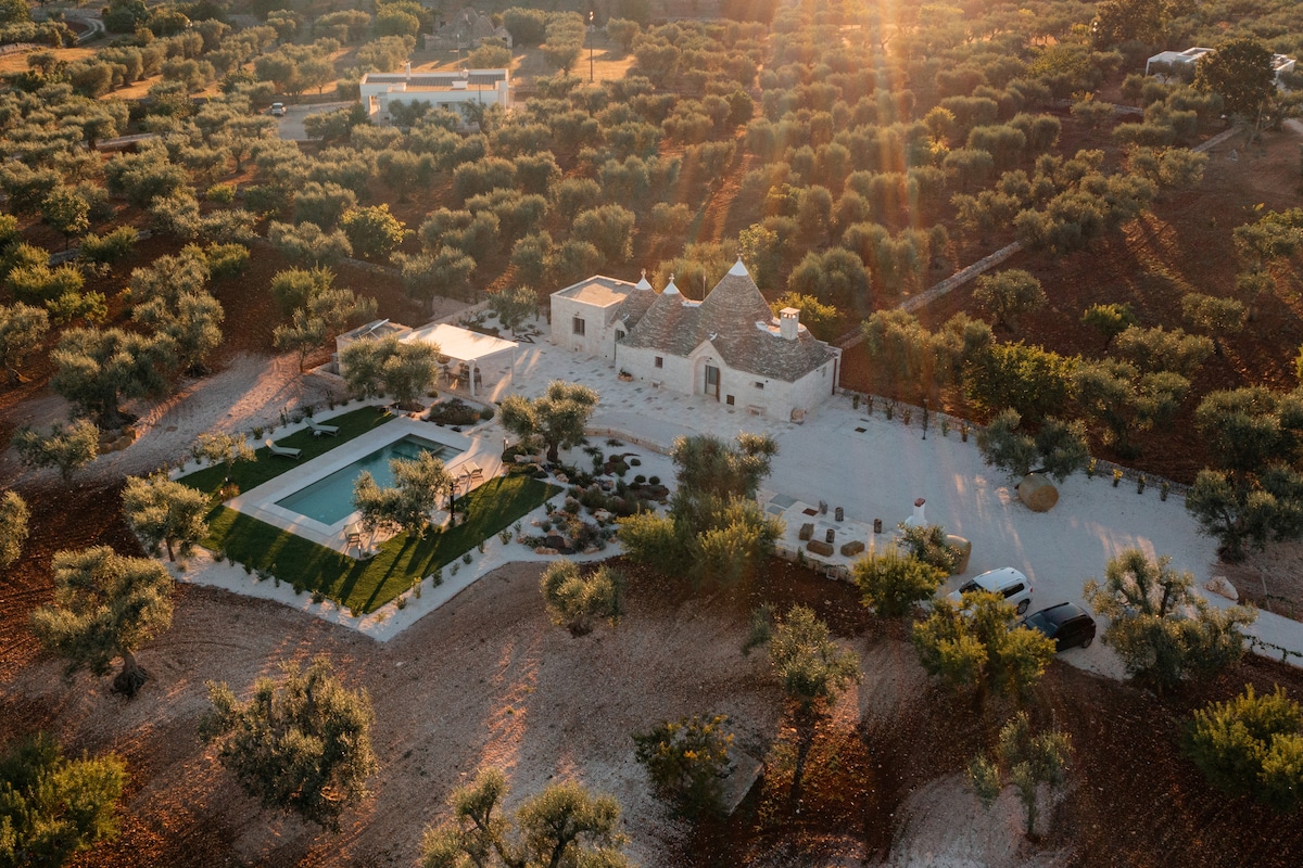 An aerial view captures the Trulli Salamida nestled among sprawling olive trees. The property features a rectangular pool and landscaped grassy areas. Sunlight filters through the trees, creating a natural ambiance, while the rustic stone buildings reflect harmonious integration with the surrounding environment.