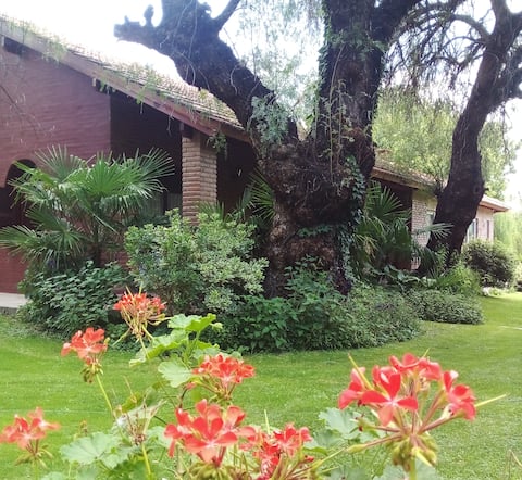 Duplex Villa de las Rosas