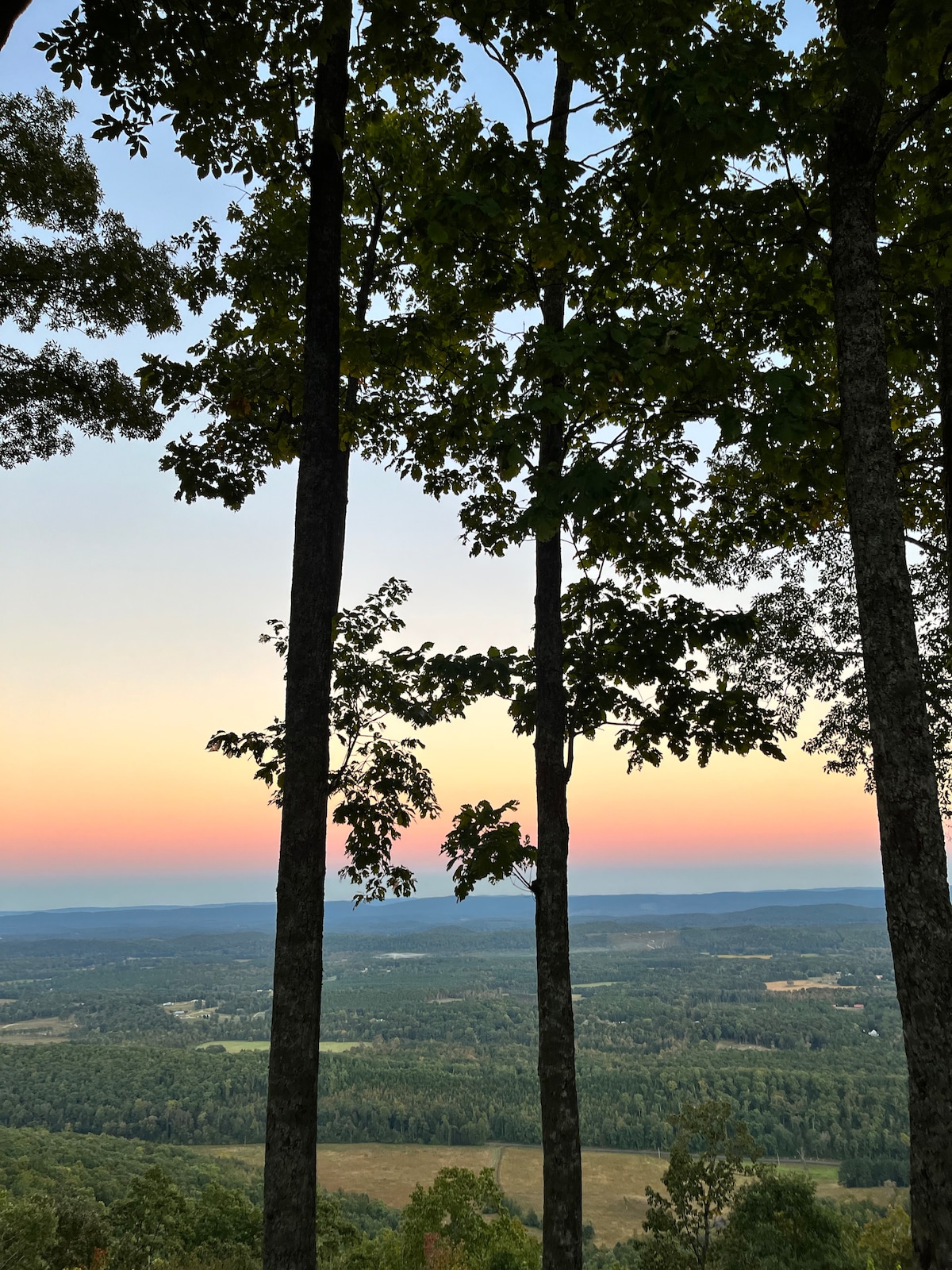 Tall trees frame a serene view of the landscape at dusk, with soft hues of orange and pink gradient in the sky above a rolling valley. Layers of green trees and fields stretch across the horizon, creating a peaceful backdrop.