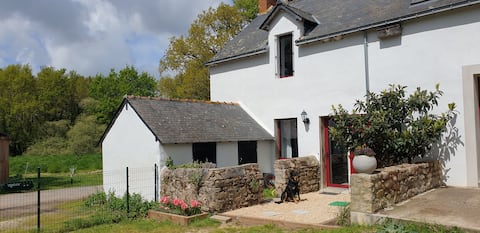 In the heart of the Briéron grove
