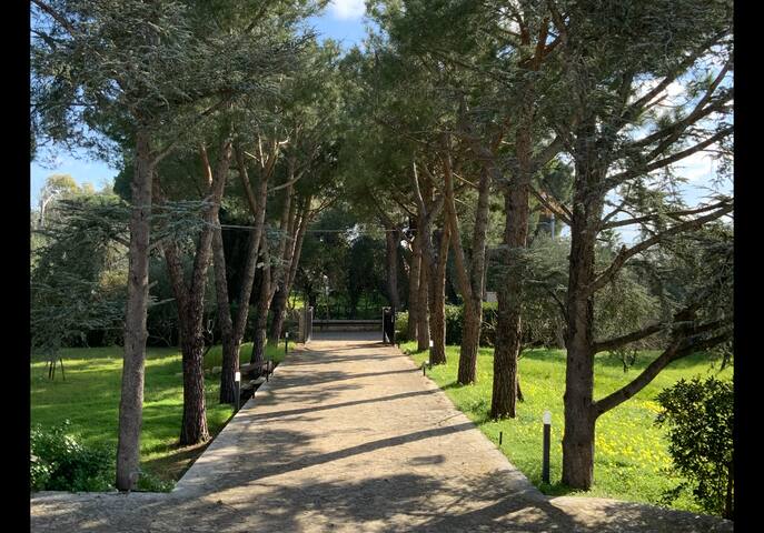 Villa Cavuzzi gallery image 3