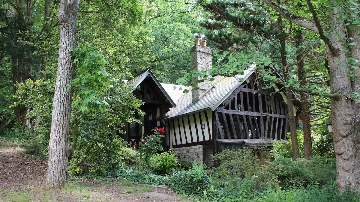 A charming cottage is nestled among lush greenery, showcasing distinctive timber framing and a stone chimney. Surrounding foliage includes tall trees and vibrant plants, creating a serene and secluded environment. The natural light filters through the leaves, enhancing the peaceful setting.
