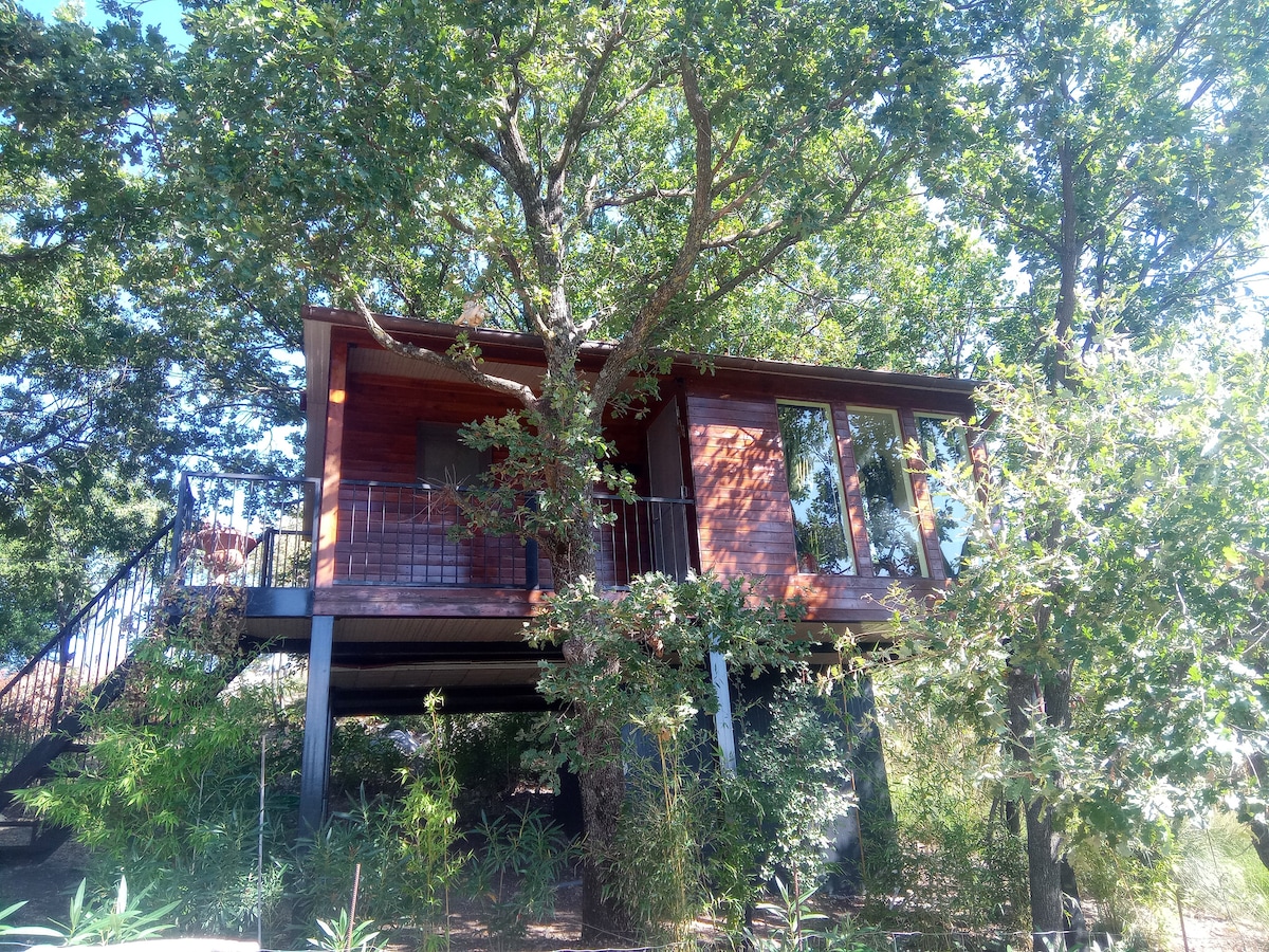 A wooden treehouse is elevated among leafy trees, surrounded by lush greenery and vibrant plants. Large windows allow natural light to enter, and a staircase leads to a welcoming deck area that offers a peaceful view of the natural surroundings.