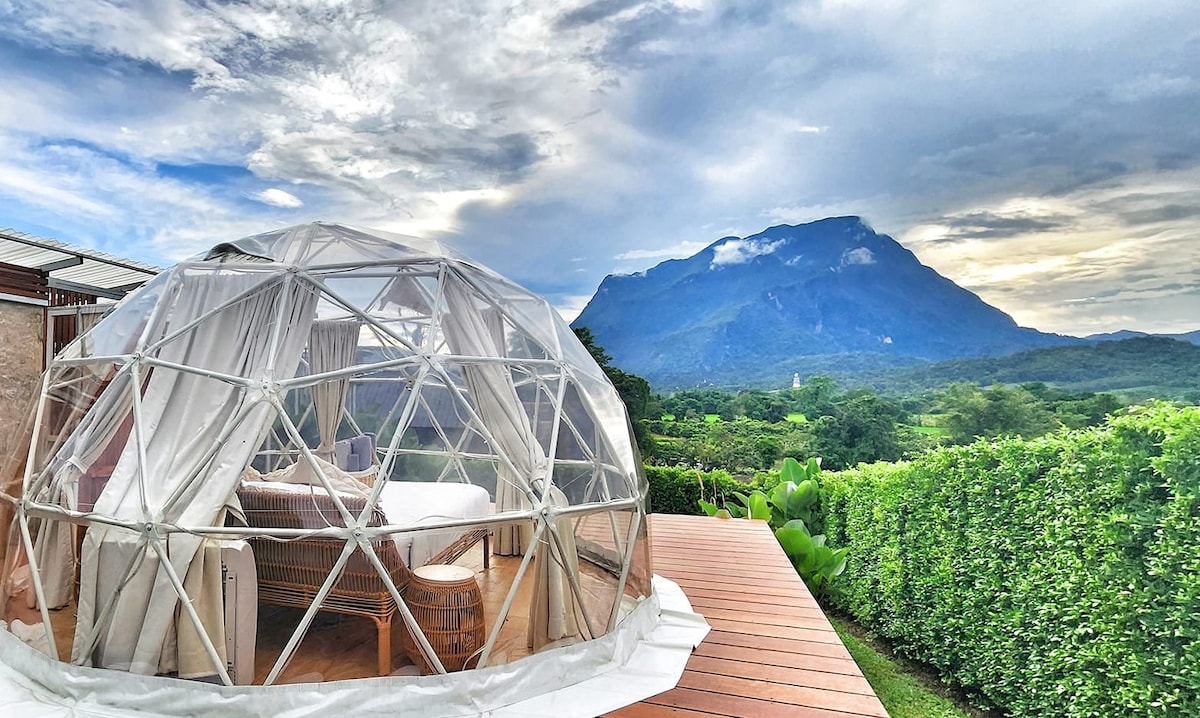 A geodesic dome is featured on a spacious wooden deck surrounded by lush greenery, with panoramic views of a prominent mountain range in the background. Soft drapery frames the entrance, creating a welcoming ambiance for guests to enjoy the natural surroundings.