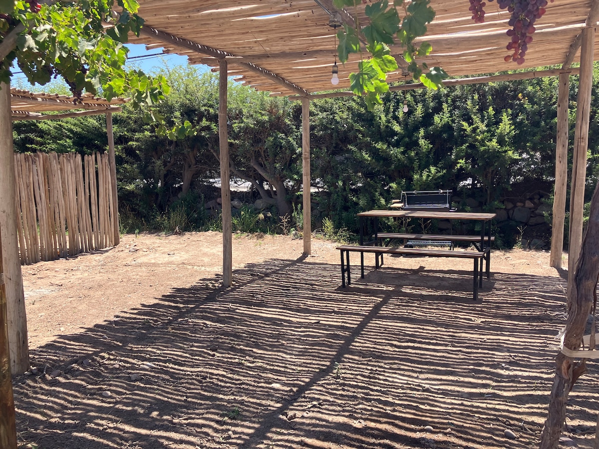 An outdoor shaded area is provided by a rustic pergola, with natural shadows created on the ground. A sturdy table and benches are placed beneath the structure, surrounded by greenery and rustic wooden fencing in the background.
