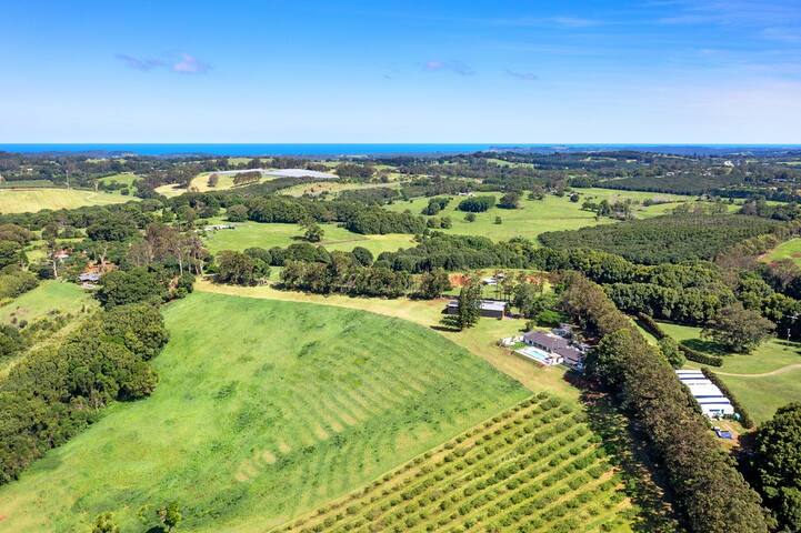 Idyllic Lawlers Orchard. gallery image 3
