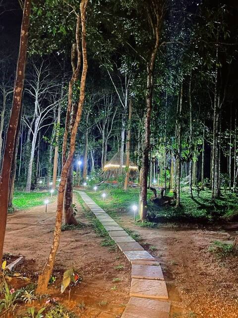 Tall Trees Forest Villa