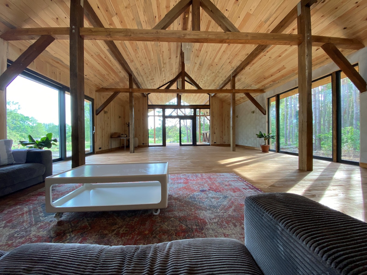 A large open living space features timber beams and natural wood paneling. Floor-to-ceiling windows provide views of the surrounding forest. A cozy seating area is complemented by a low coffee table, and a potted plant adds a touch of greenery.