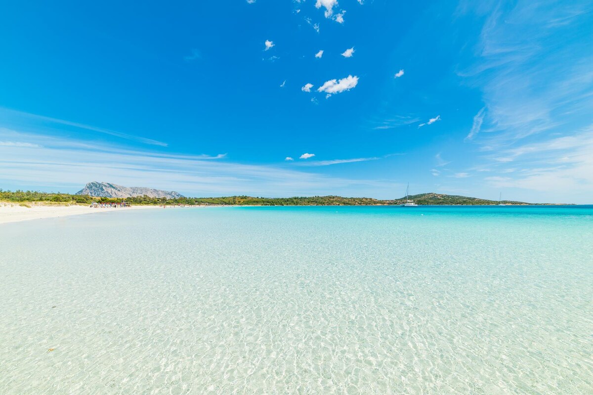 A clear, tranquil beach scene showcases shallow, crystal-clear water merging into a vibrant blue sky. The shoreline features soft white sand, with distant greenery and gentle hills visible along the horizon.